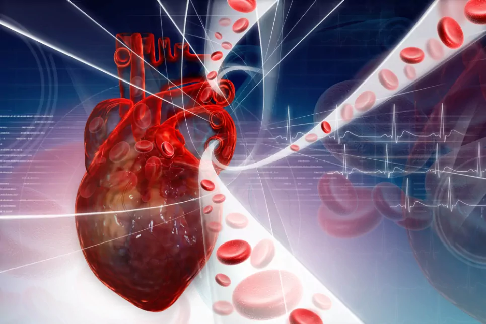 Vitamin D reduces heart and circulatory issues in OA, Optimal omega-3 dose for lowering BP