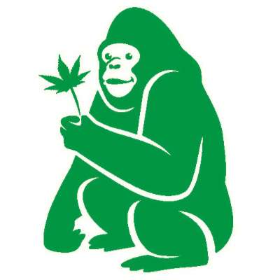 Green Gorilla