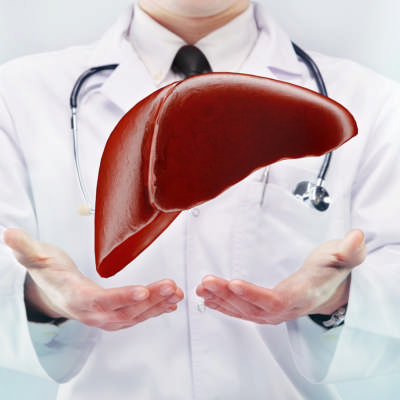 Liver Support