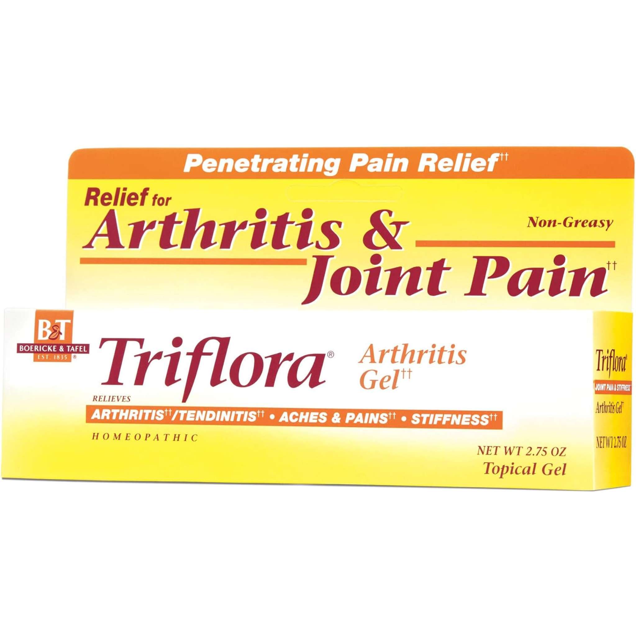 Boericke and Tafel - Triflora Arthritis Gel 2.75 oz