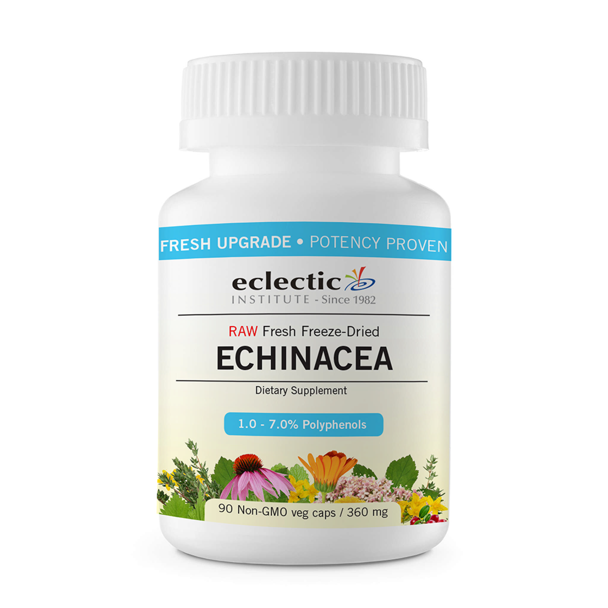Eclectic Institute - Echinacea Purpurea