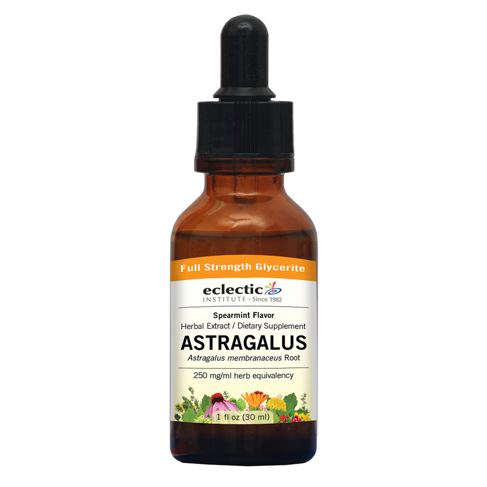 Eclectic Institute - Astragalus Spearmint A/F