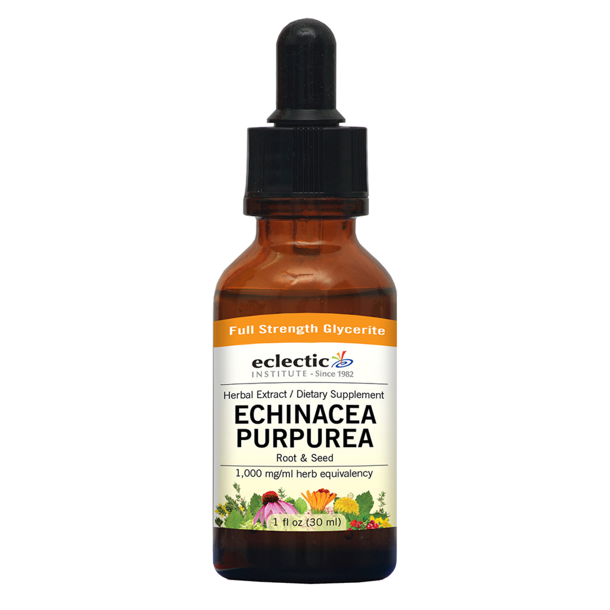 Eclectic Institute - Echin Purpurea A/F Glycerite