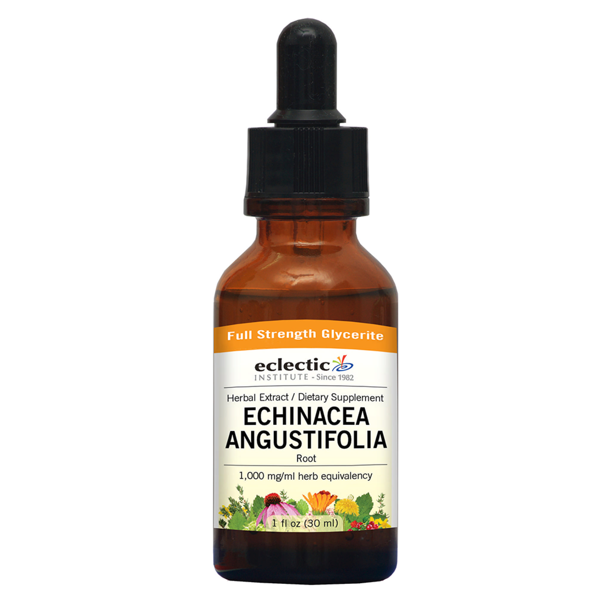 Eclectic Institute - Echin Angustifolia A/F Glyceri