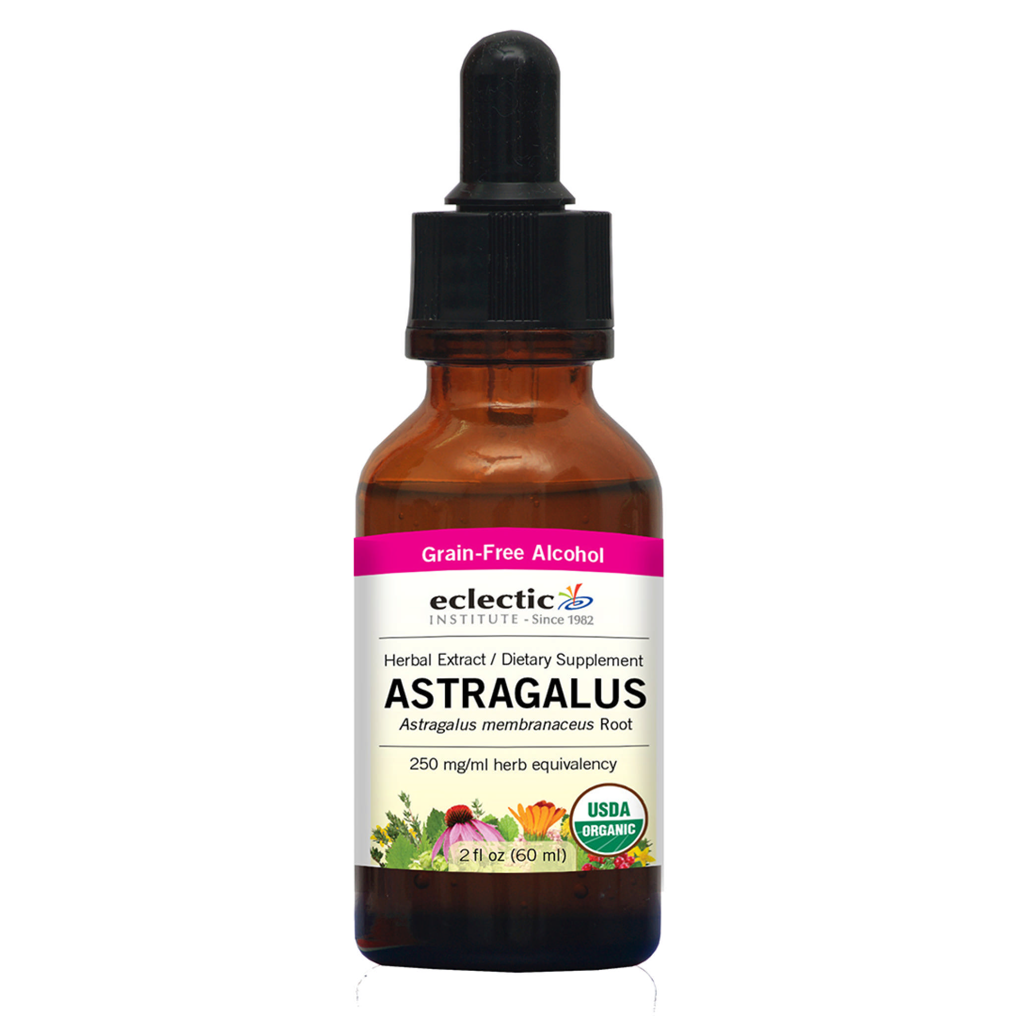 Eclectic Institute - Astragalus Organol