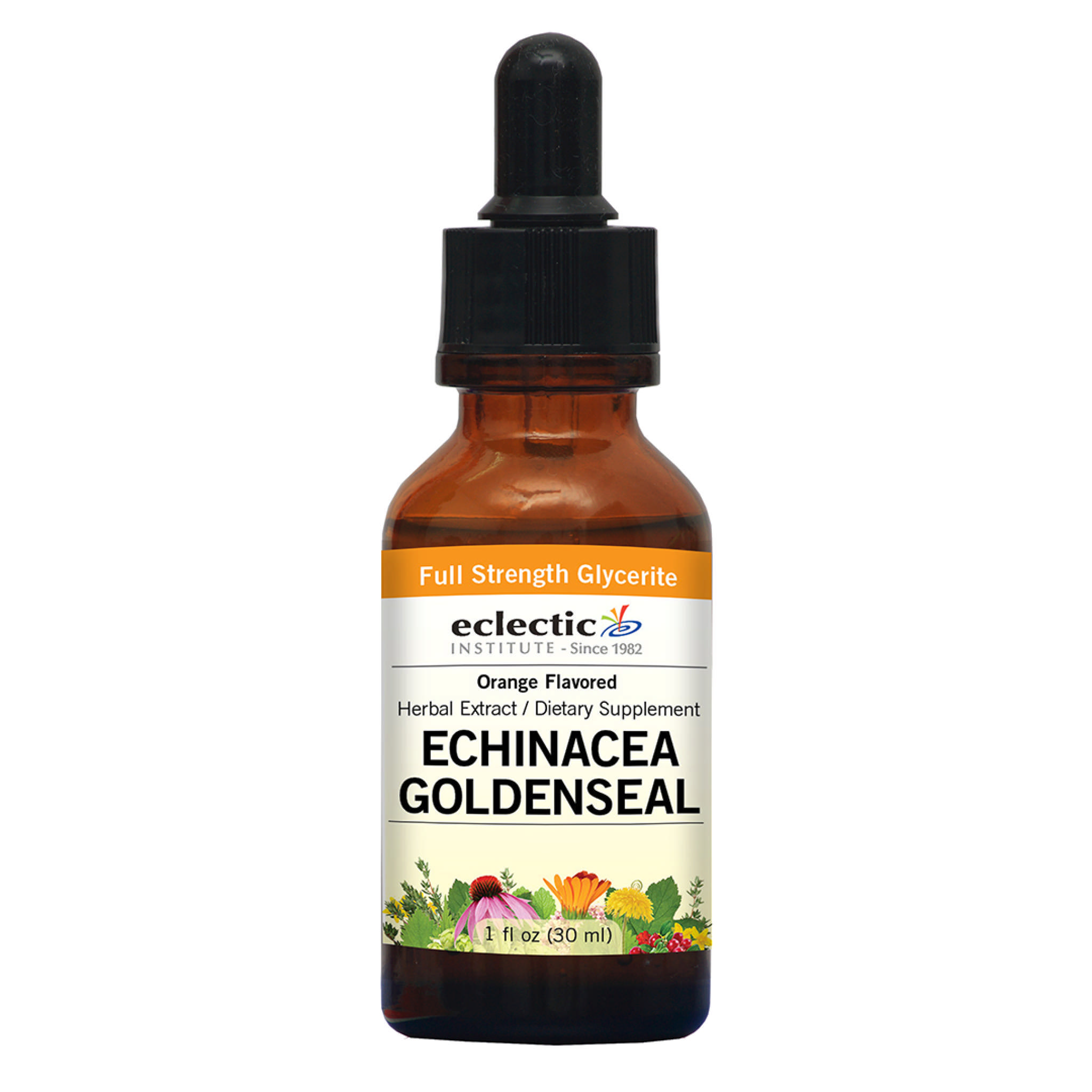 Eclectic Institute - Echin Gldseal Orange Gly A/F