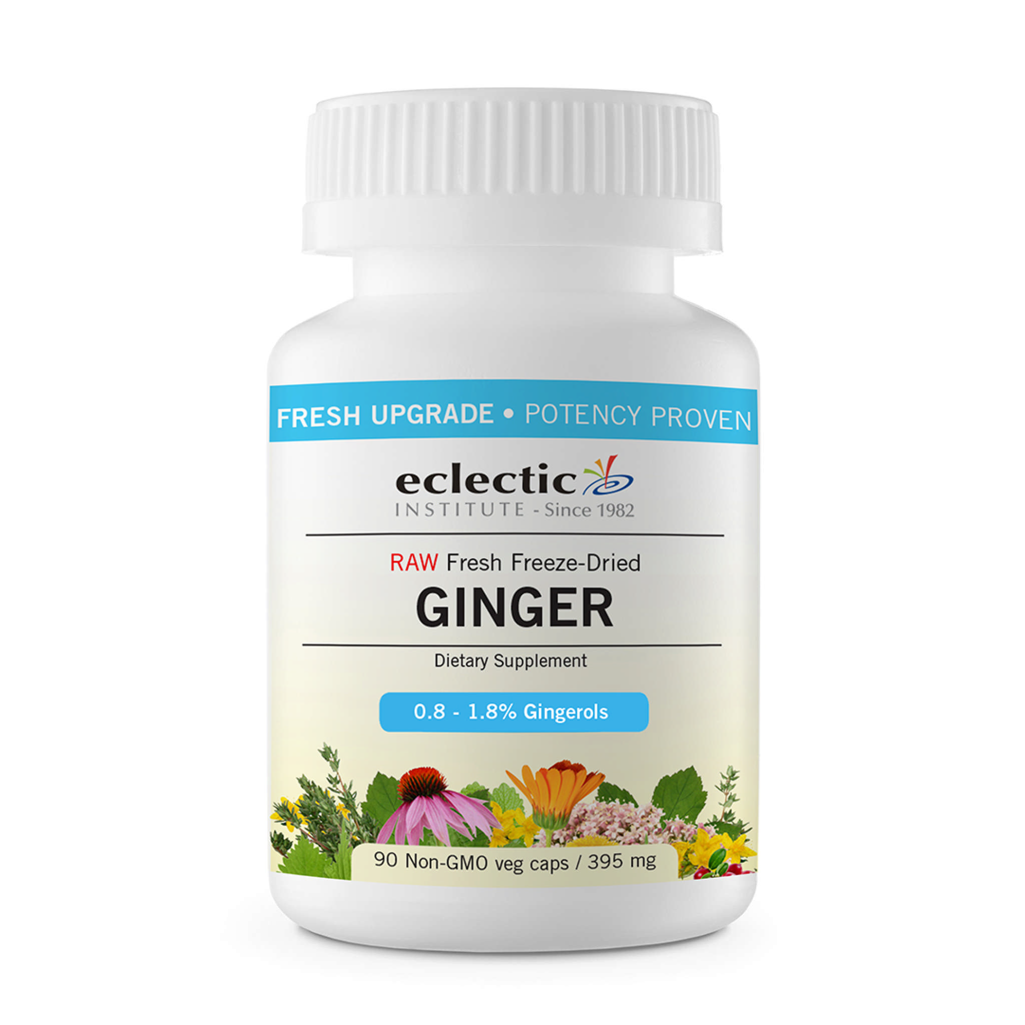Eclectic Institute - Ginger 300 mg Fd