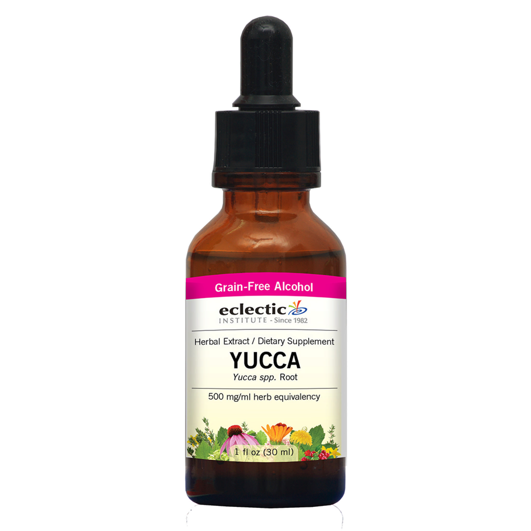 Eclectic Institute - Yucca Organol