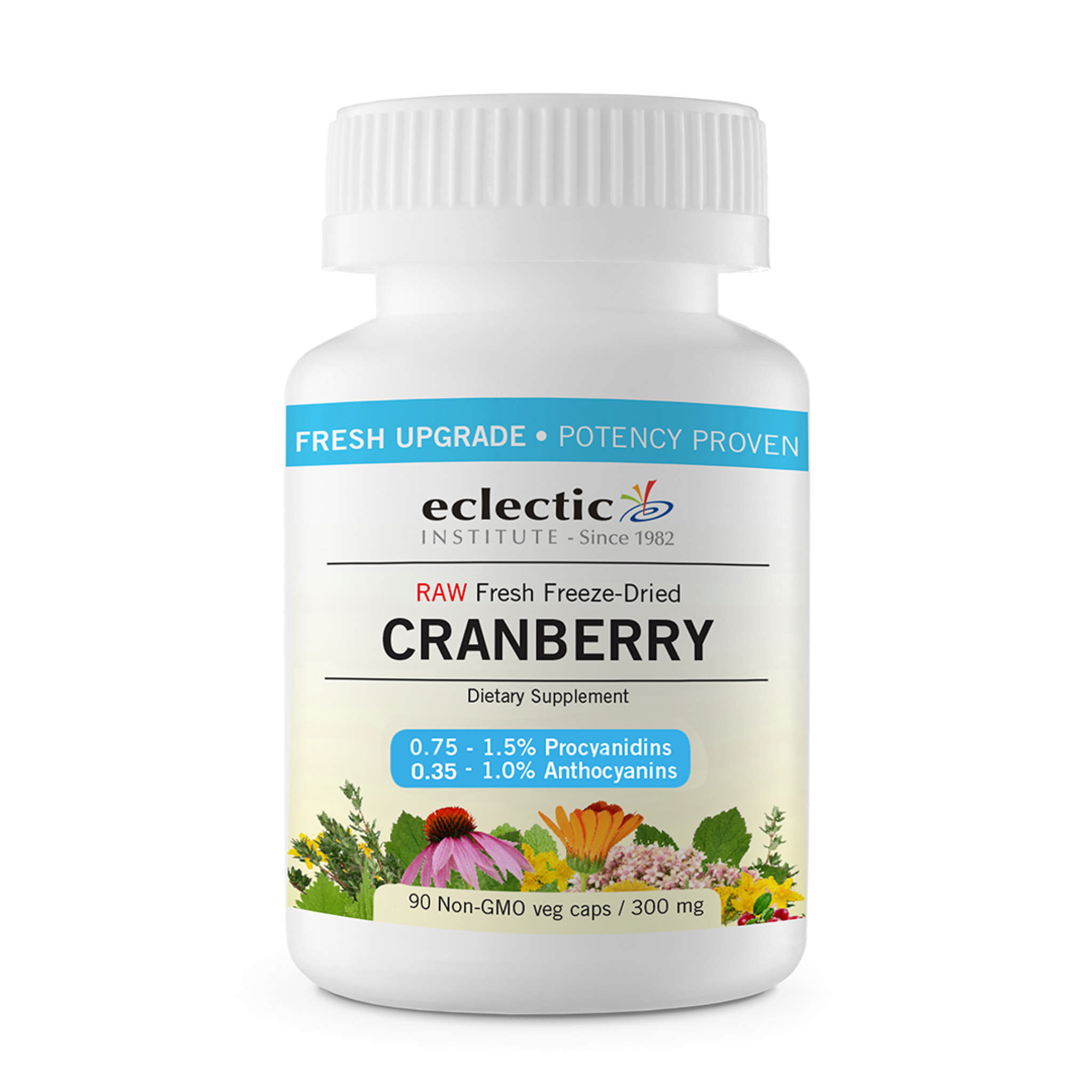 Eclectic Institute - Cranberry Freeze Dried