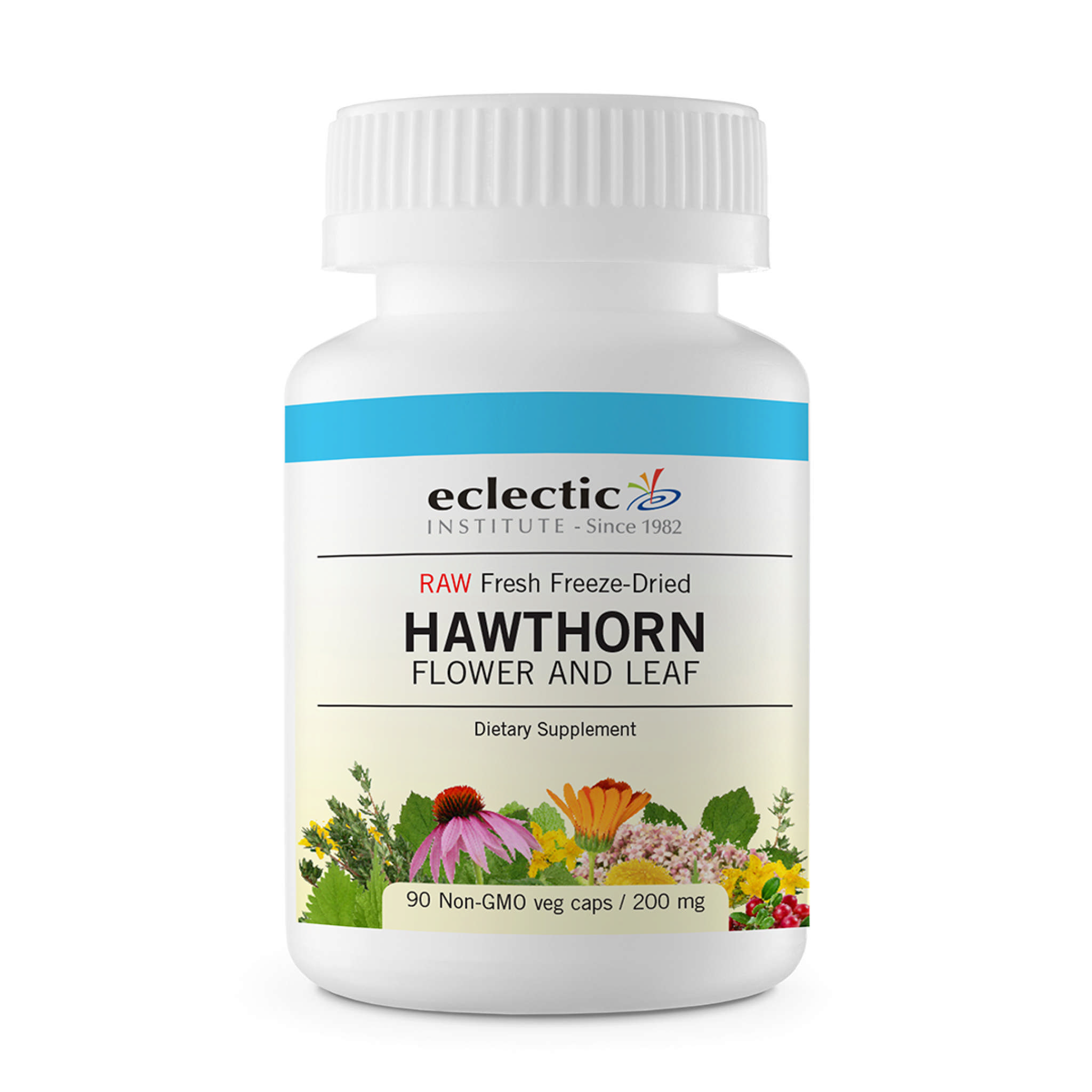 Eclectic Institute - Hawthorn Flower & Leaf