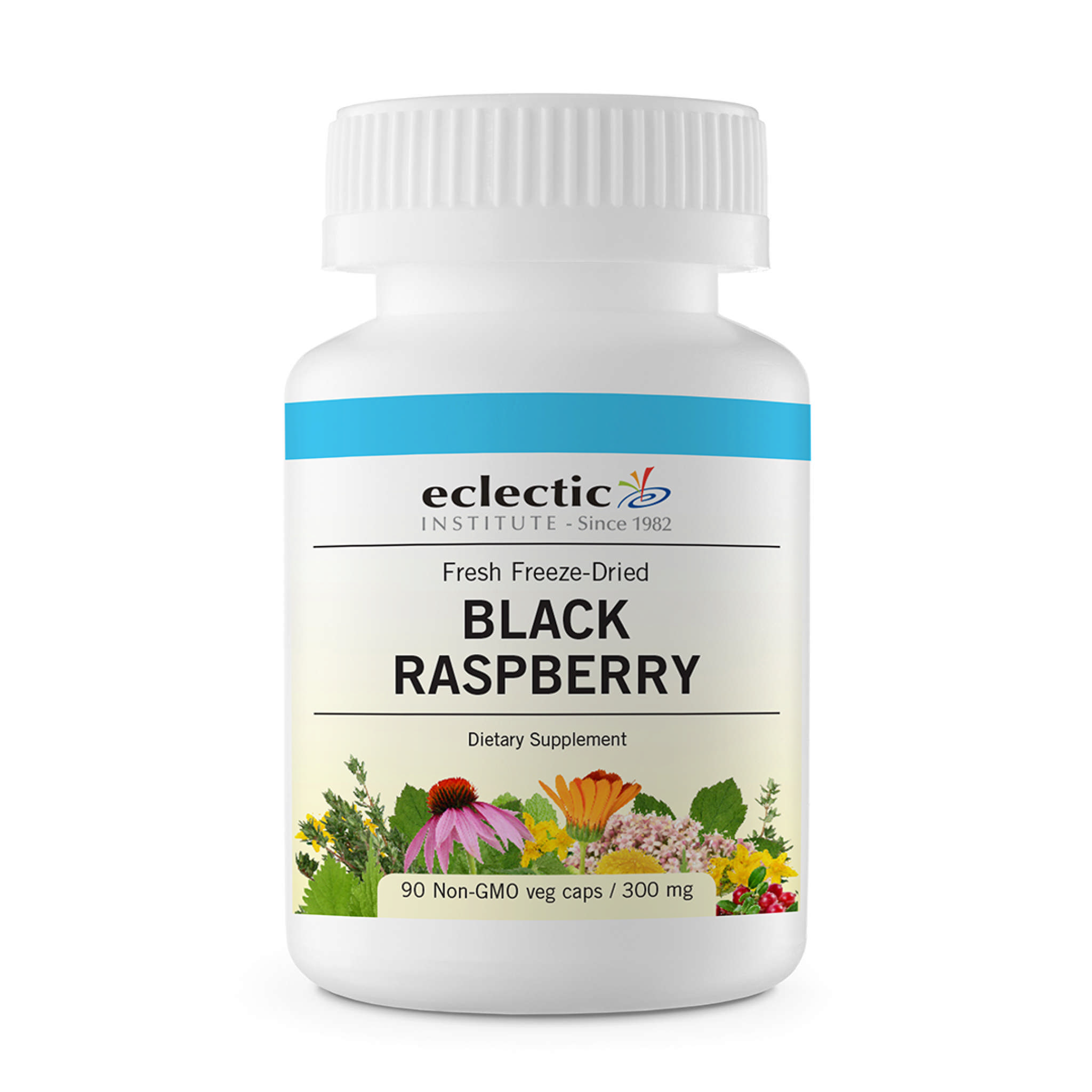 Eclectic Institute - Black Raspberry Ext