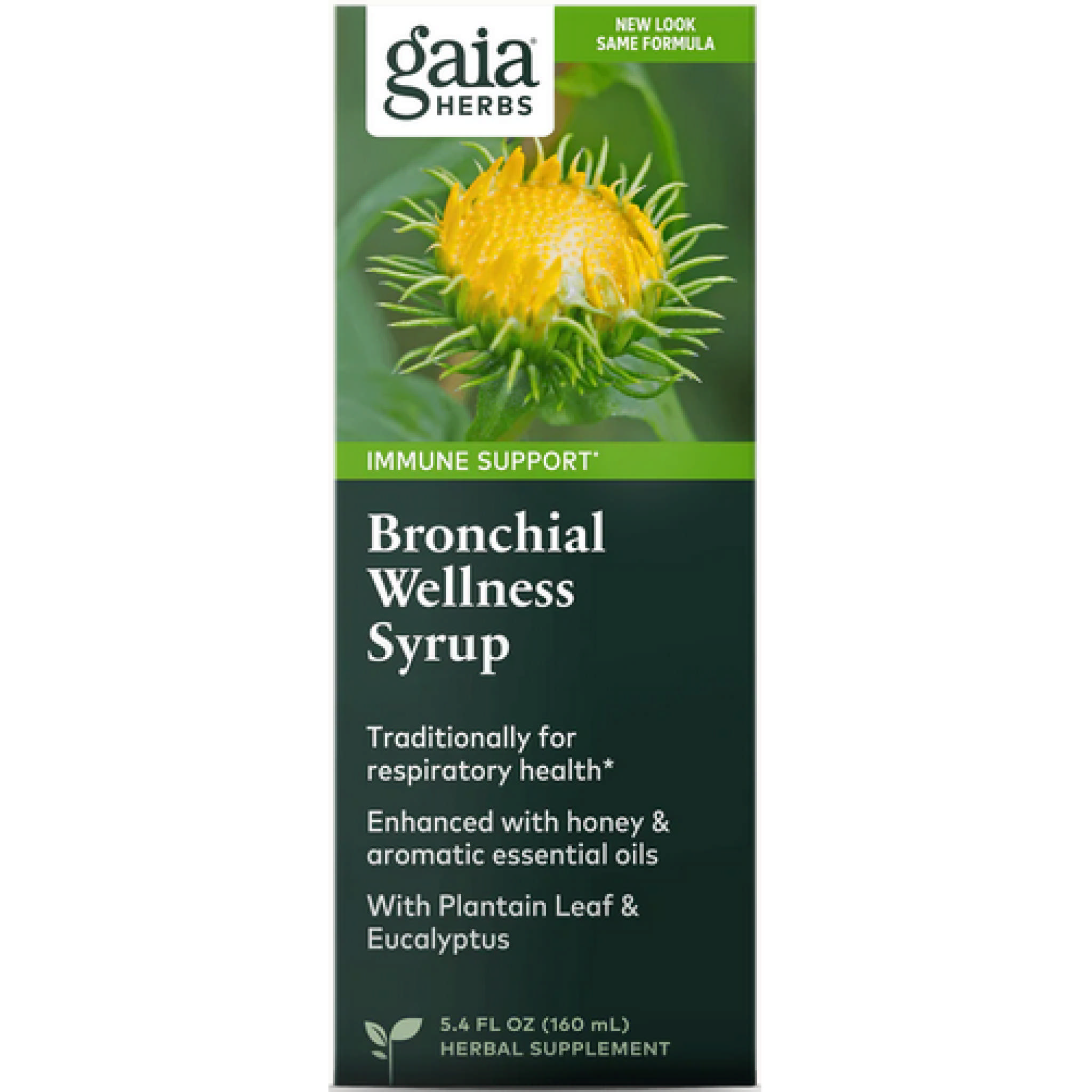 Gaia Herbs - Bronchial Wellness Syrup