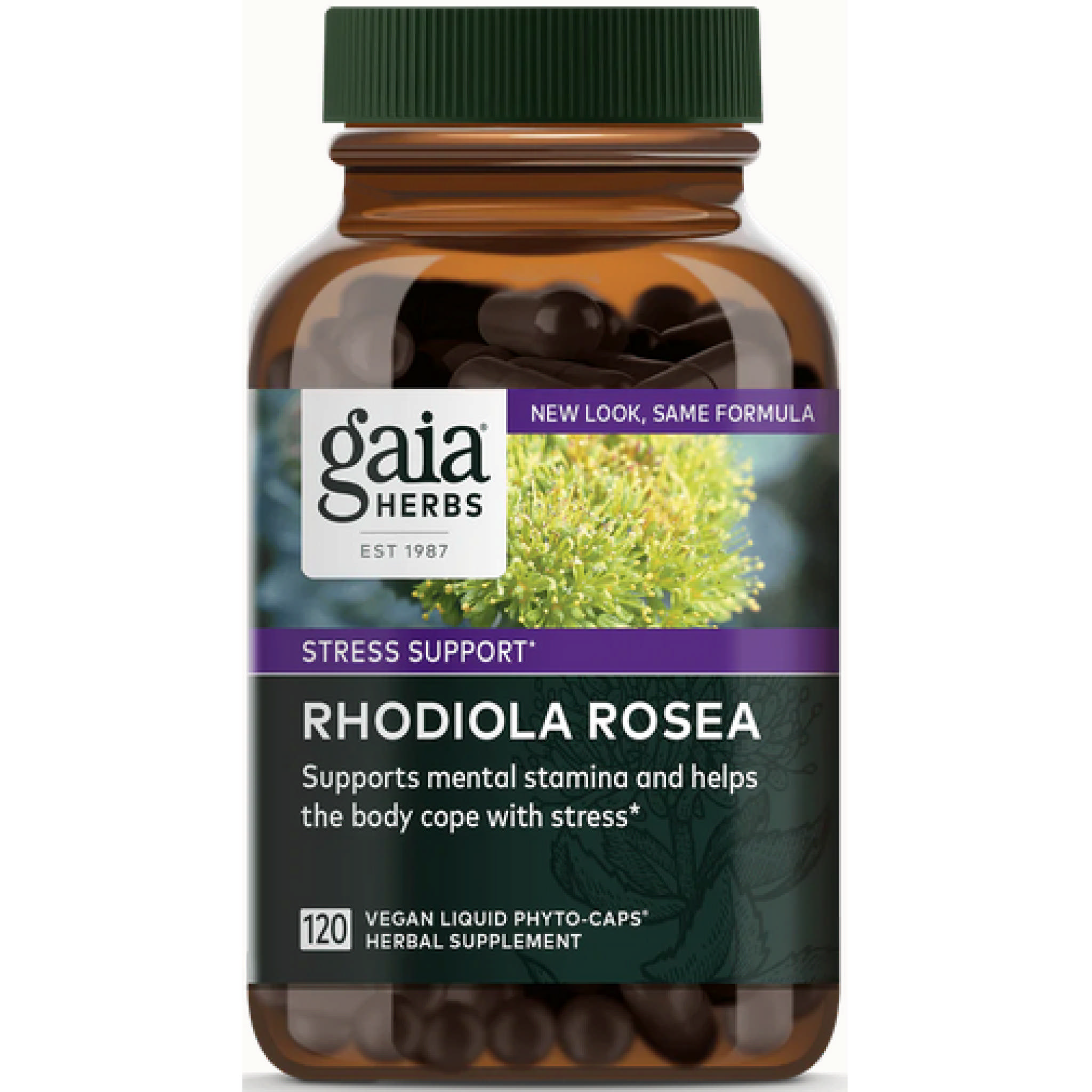 Gaia Herbs - Rhodiola Rosea Ext 240 mg