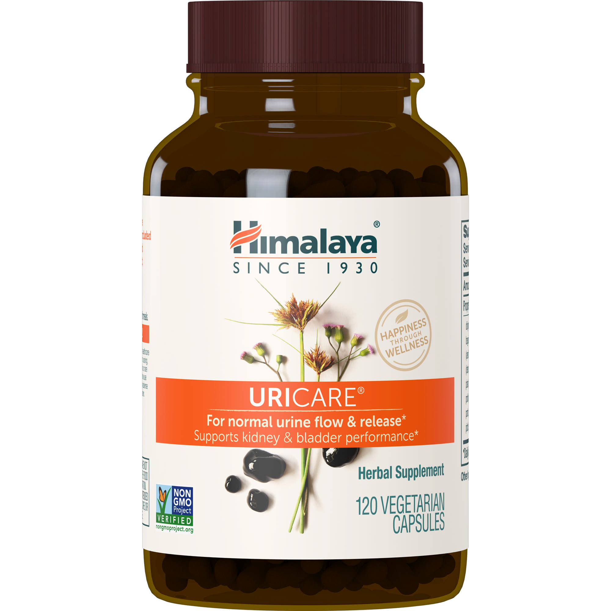 Himalaya Herbal Hlth - Uricare