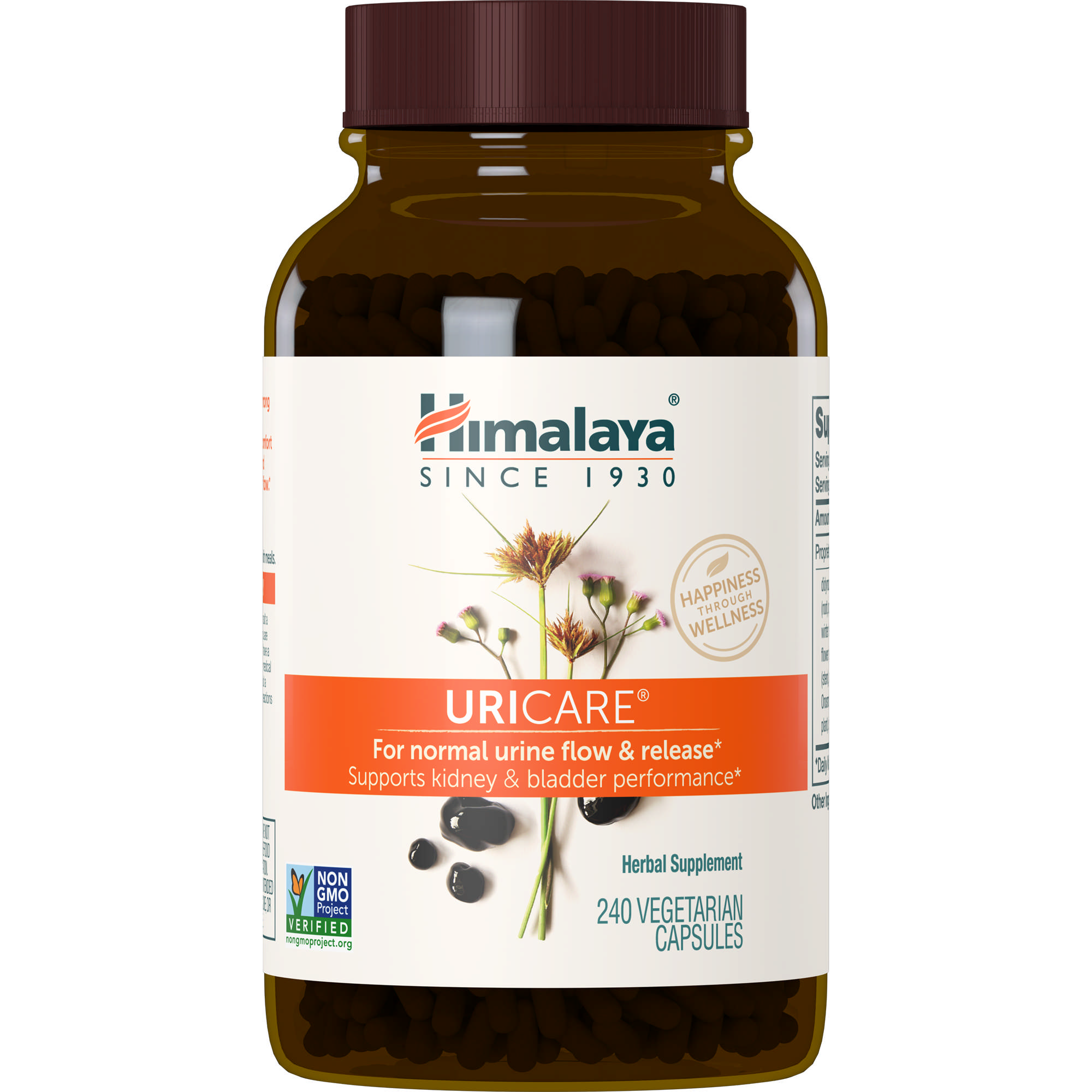 Himalaya Herbal Hlth - Uricare