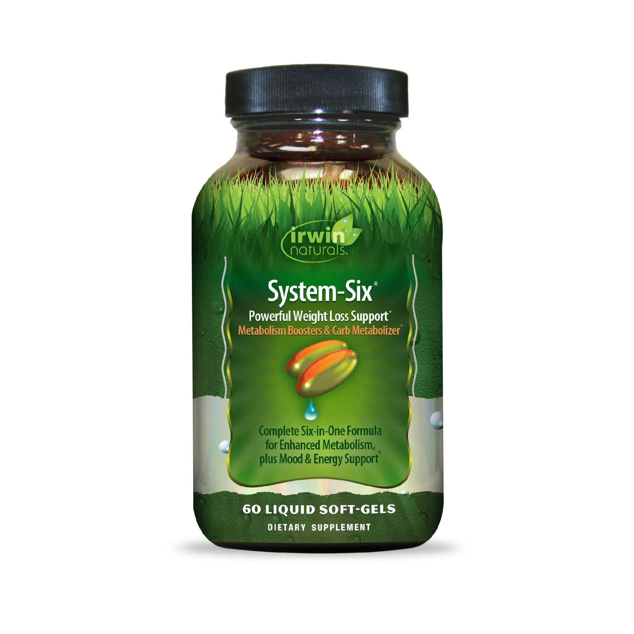 Irwin Naturals - System Six