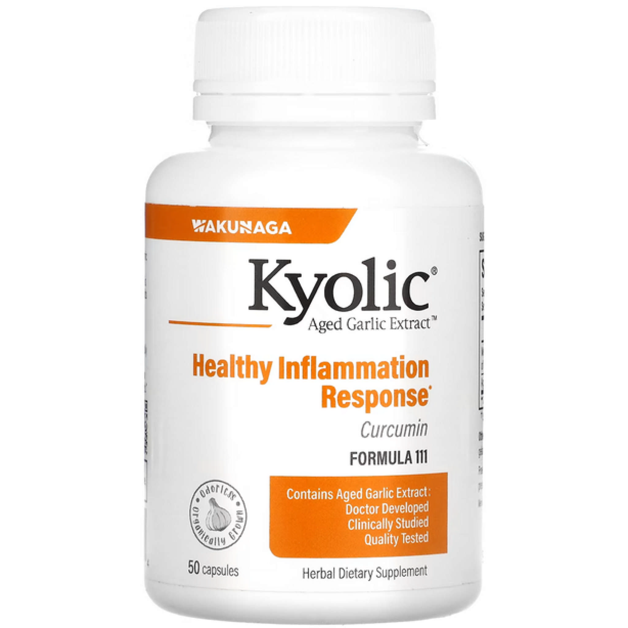 Kyolic - Kyolic Curcumin