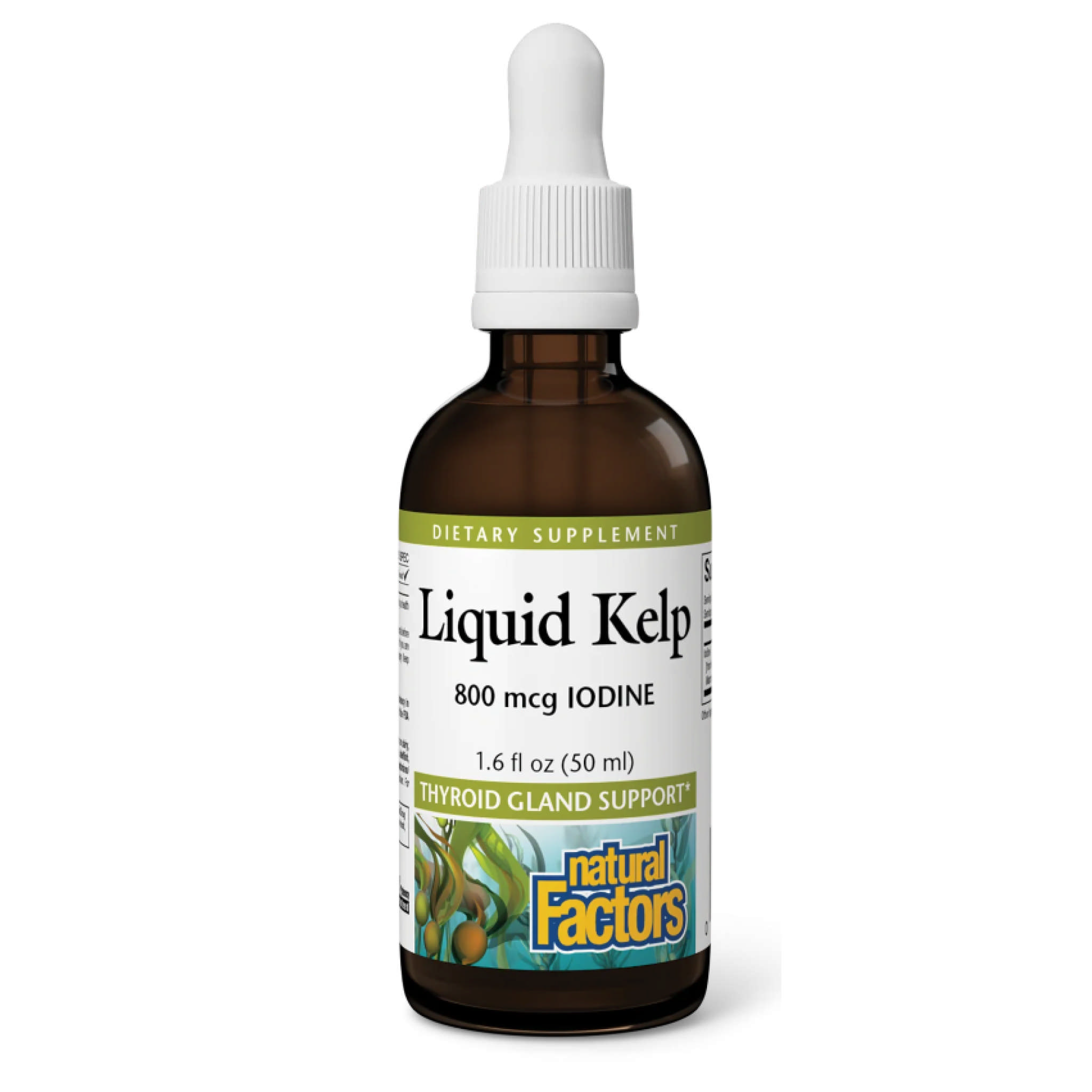 Natural Factors - Kelp 800 mcg liq