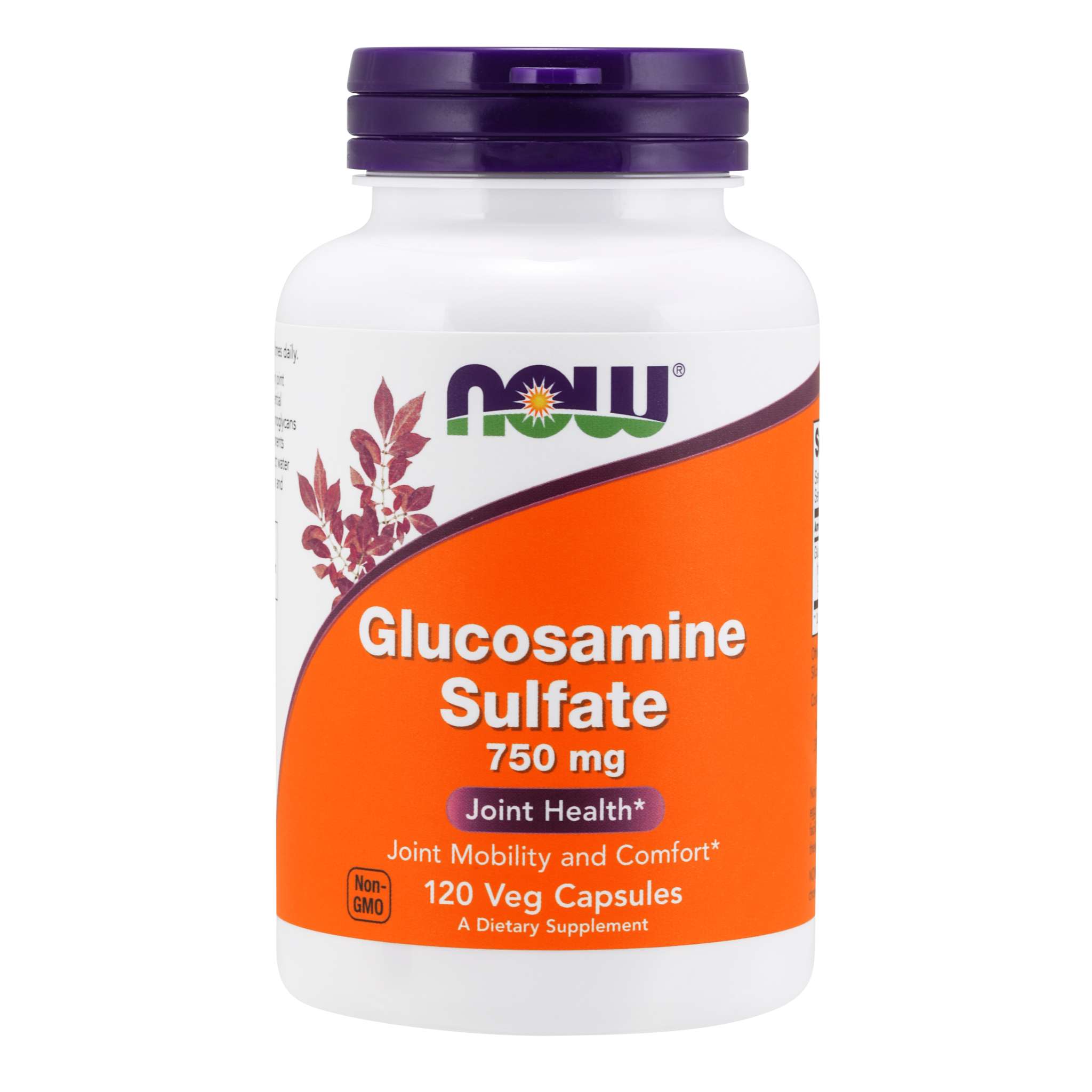 Now Foods - Glucosamine Sulfate 750 mg