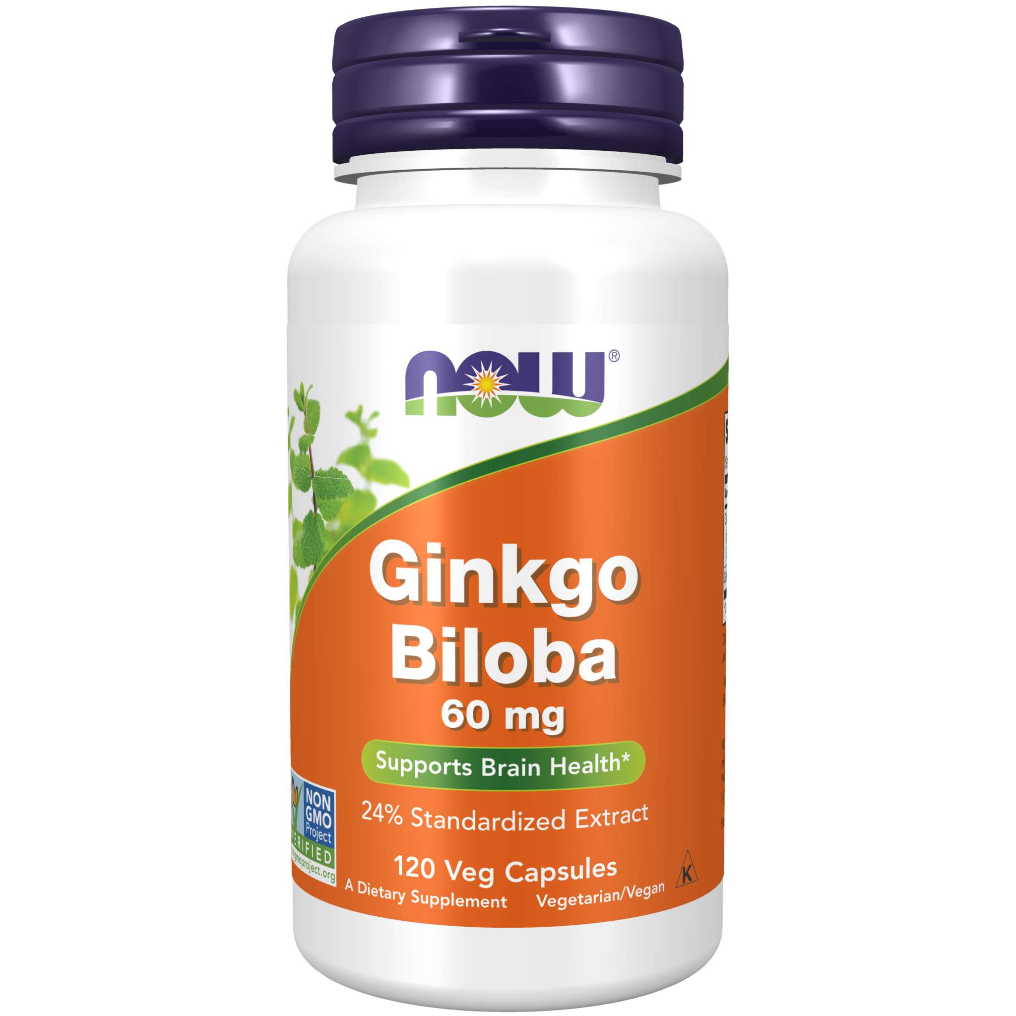 Now Foods - Ginkgo Biloba 60 mg