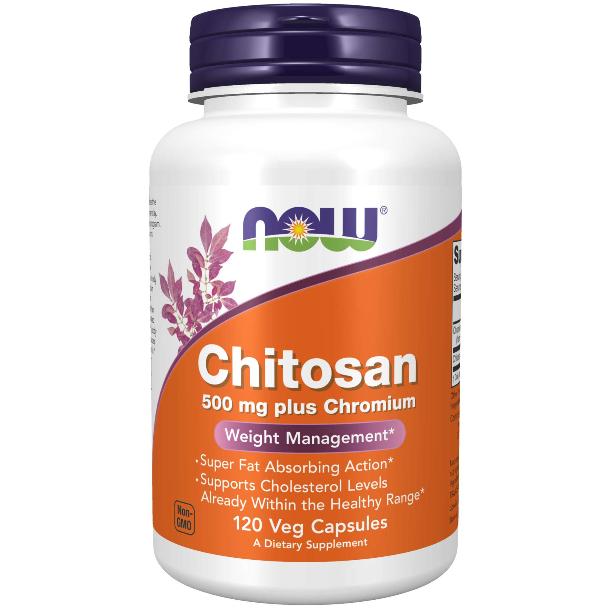 Now Foods - Chitosan 500 mg Chromium