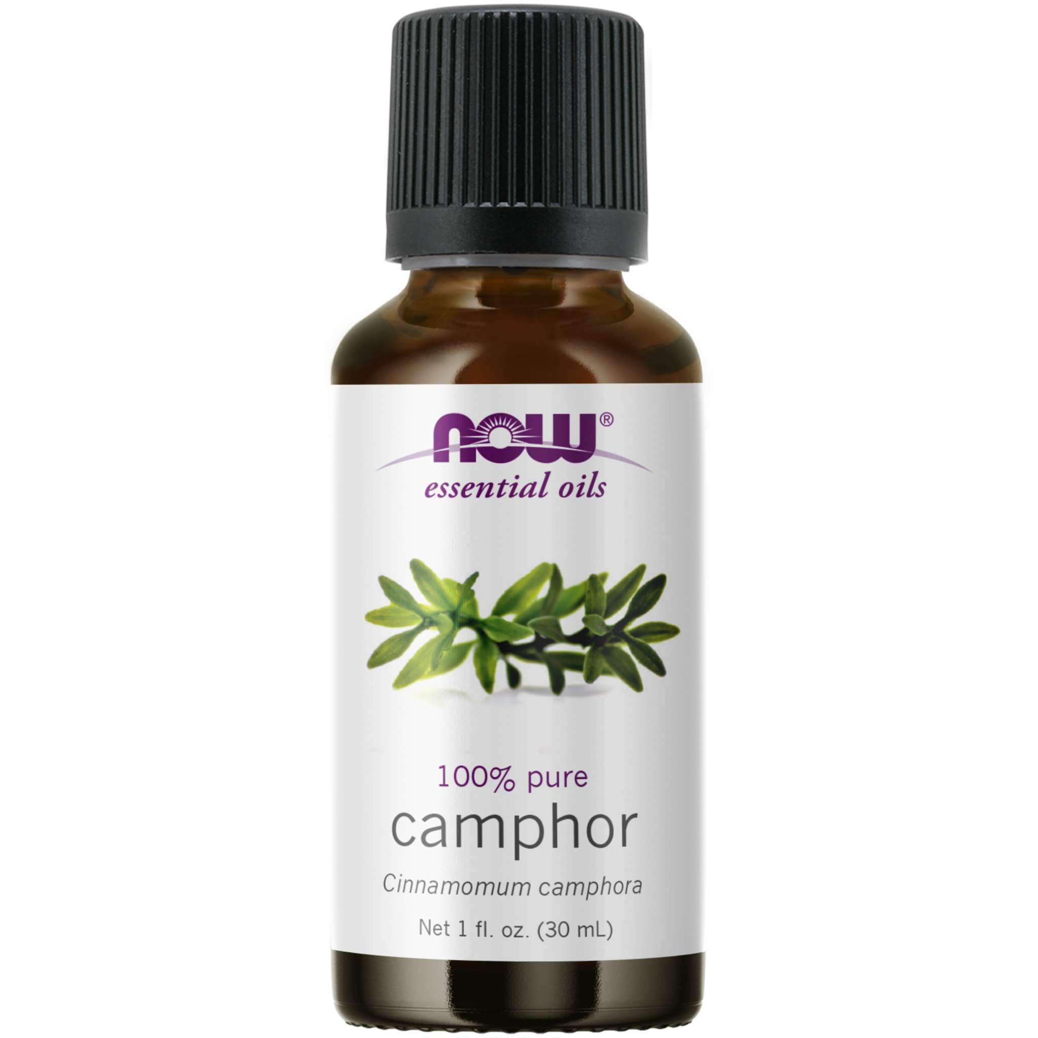 Now Foods - Camphor Oil