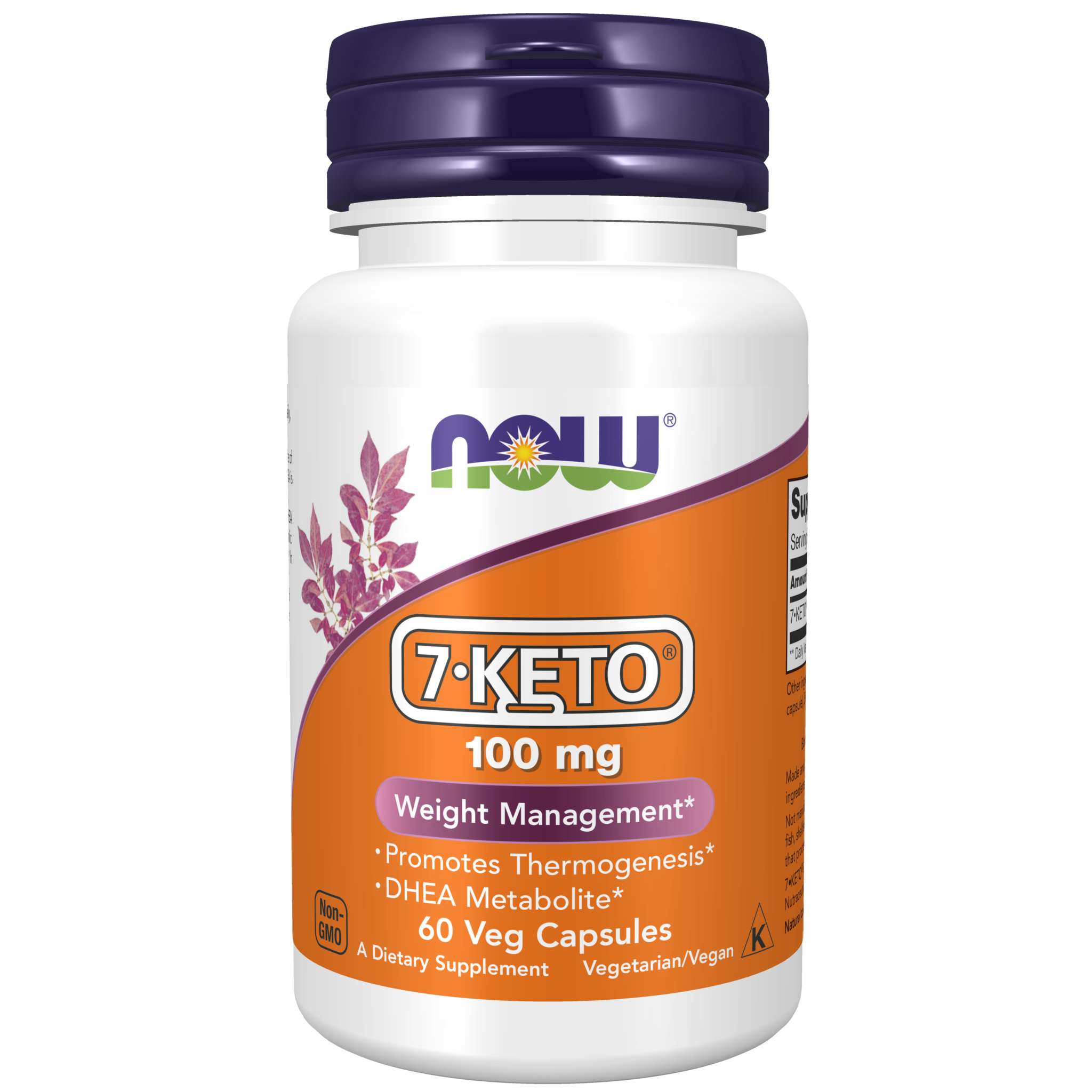 Now Foods - 7 Keto Dhea 100 mg