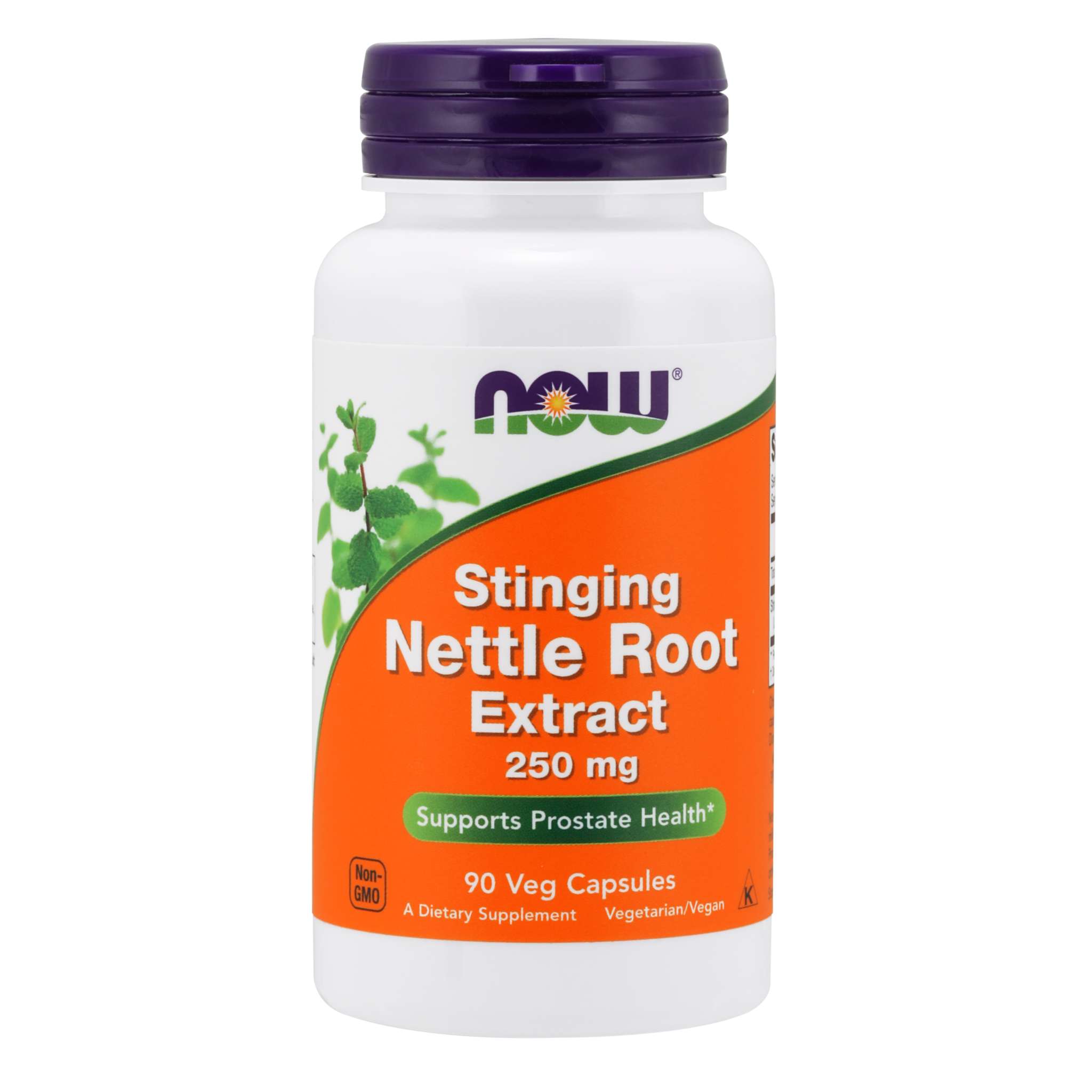 Now Foods - Nettle Root Ext 250 mg Stingin
