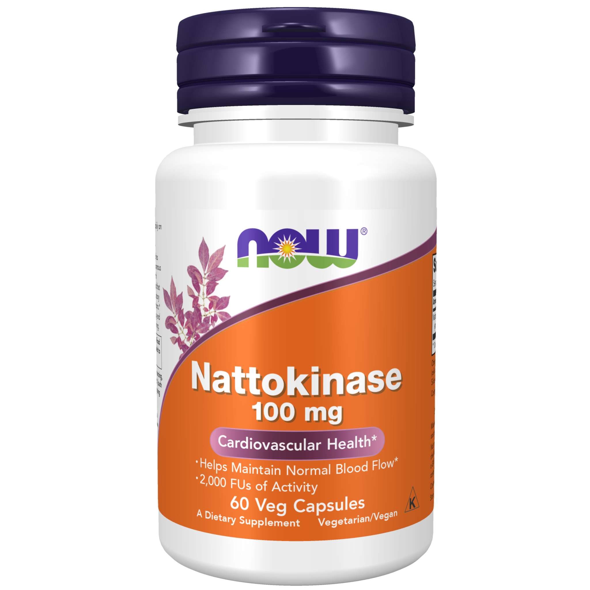 Now Foods - Nattokinase 100 mg