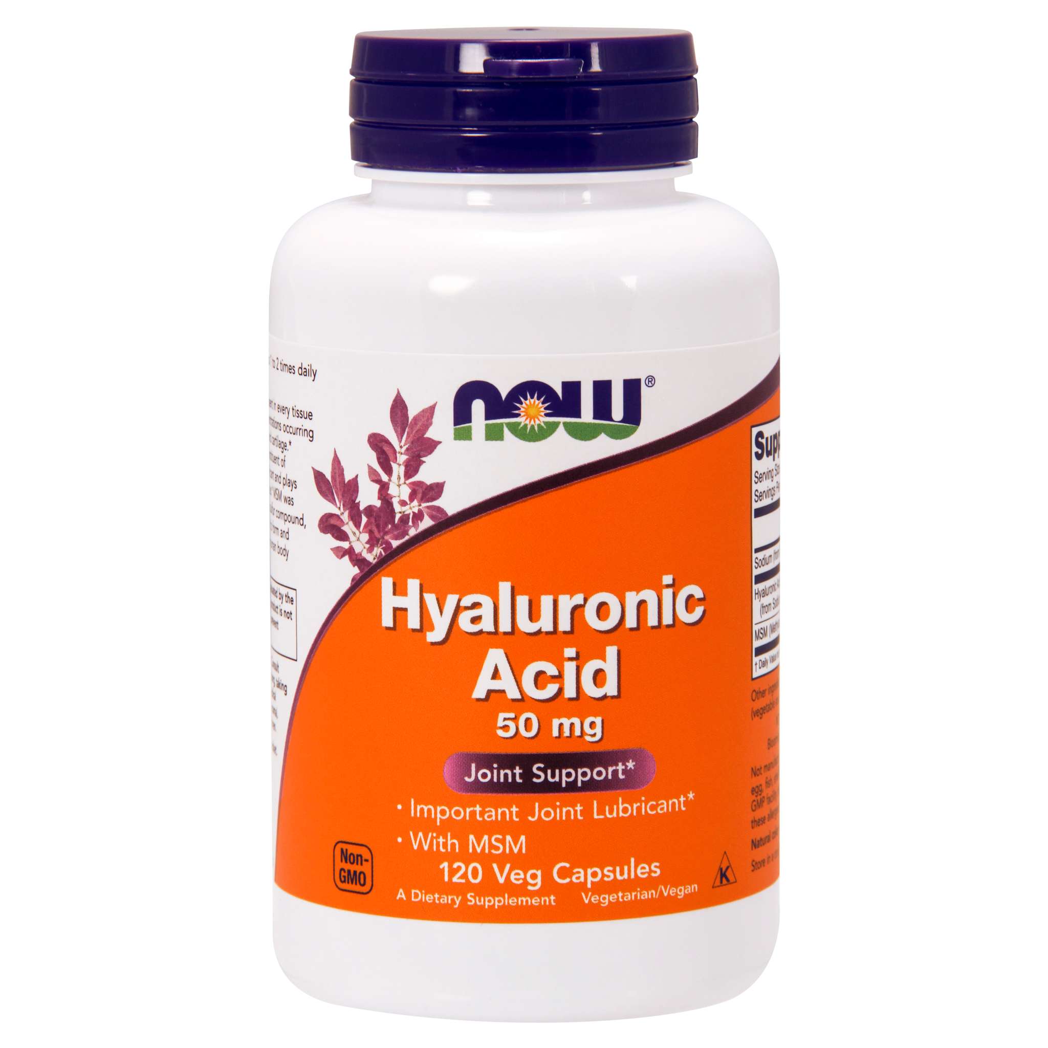 Now Foods - Hyaluronic Acid 50 mg Msm 450