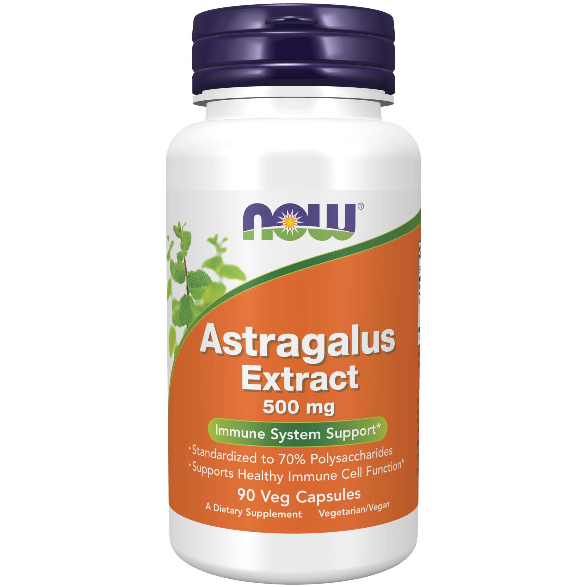 Now Foods - Astragalus Ext 500 mg