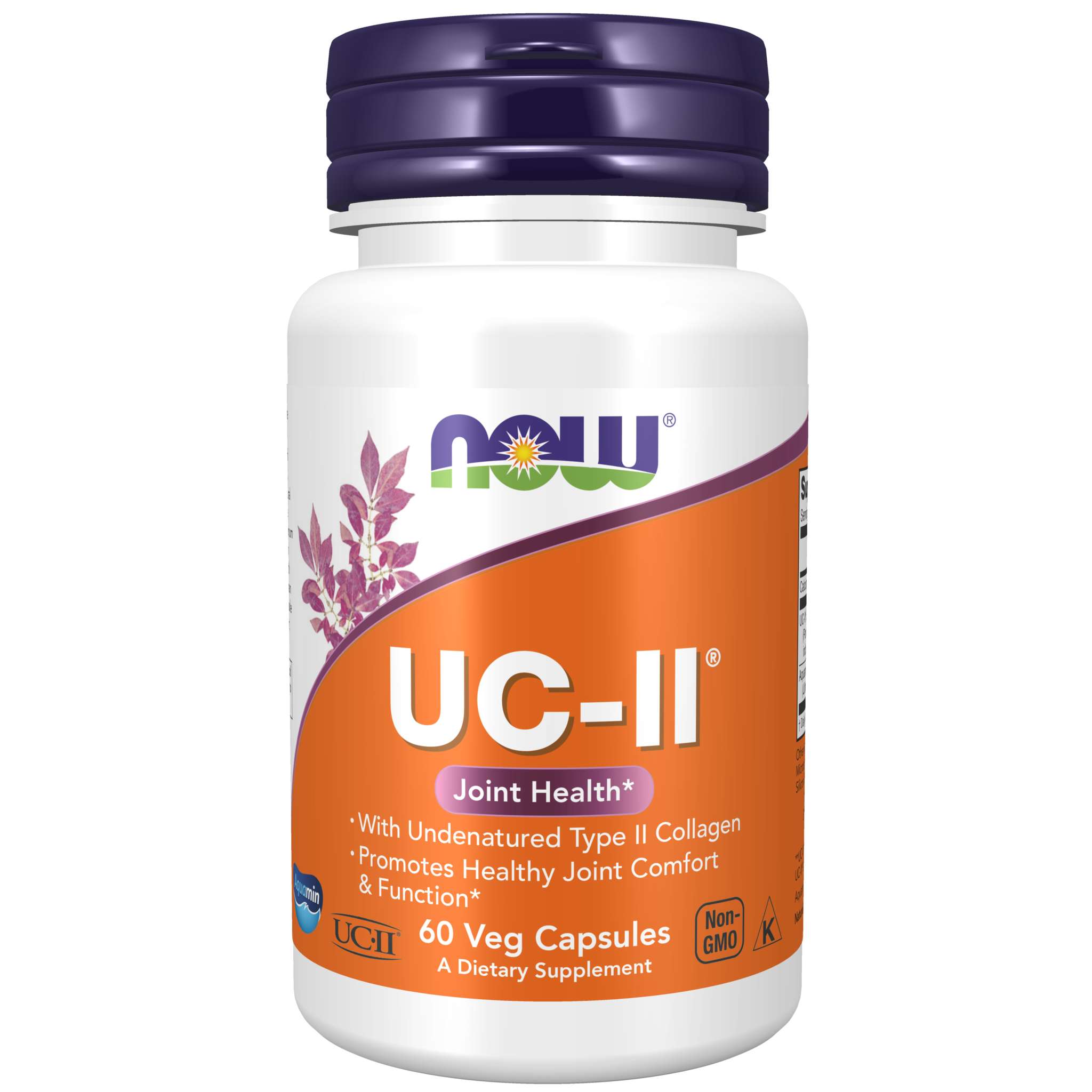 Now Foods - Uc Ii Joint Collagen