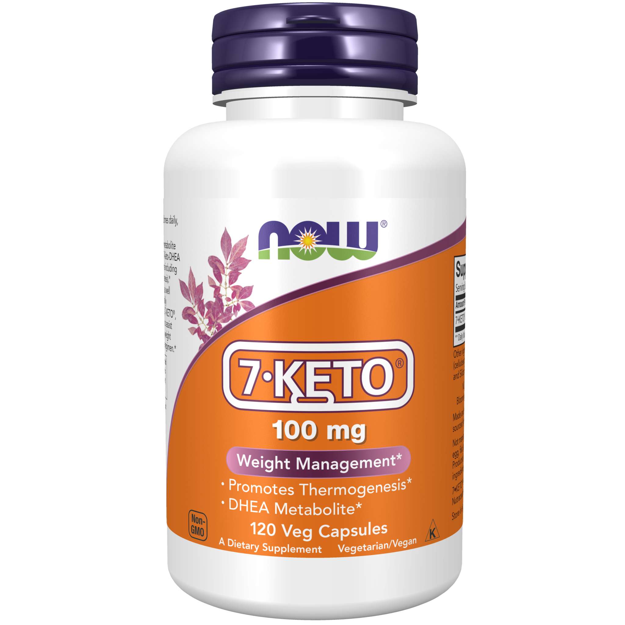 Now Foods - 7 Keto 100 mg