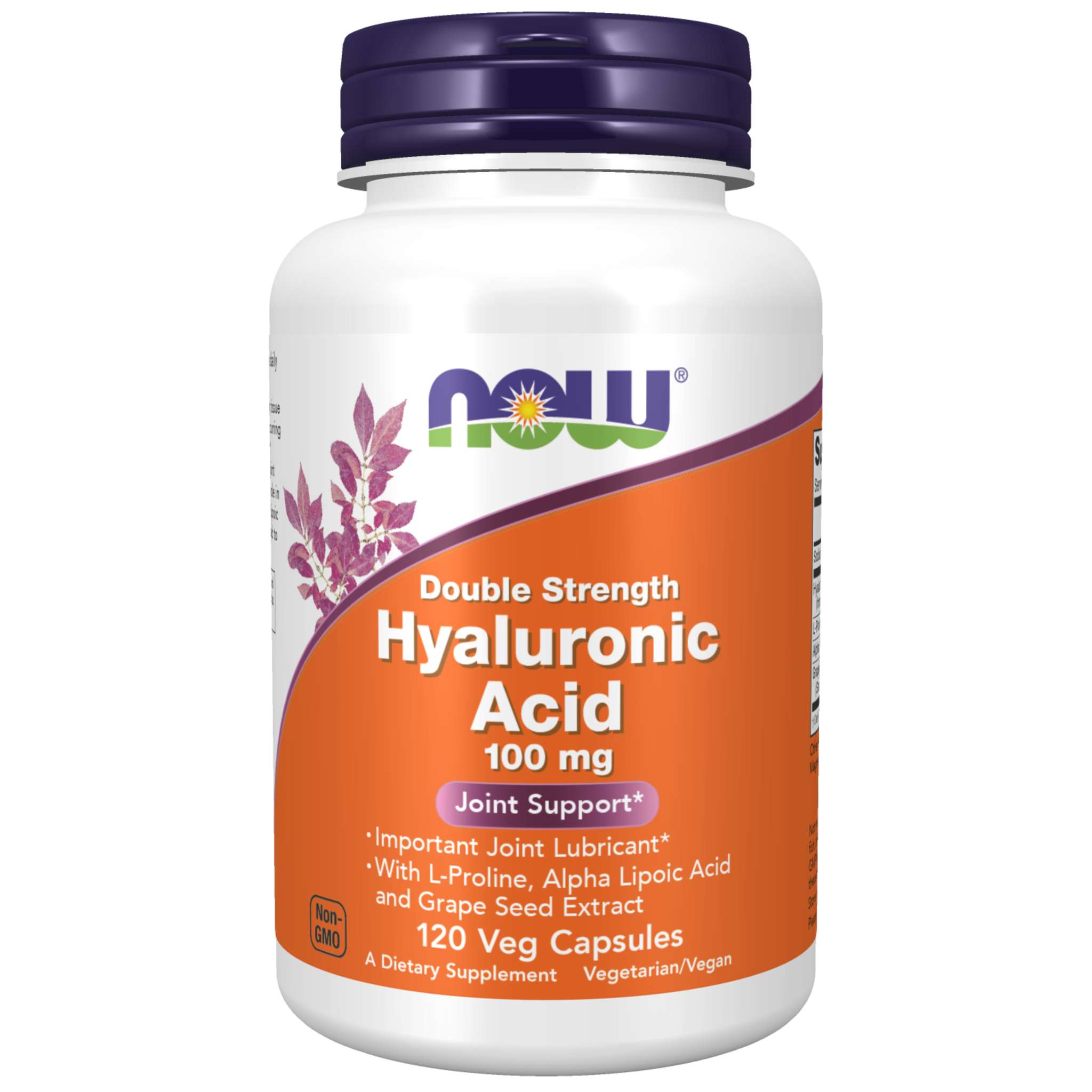 Now Foods - Hyaluronic Acid 100 mg