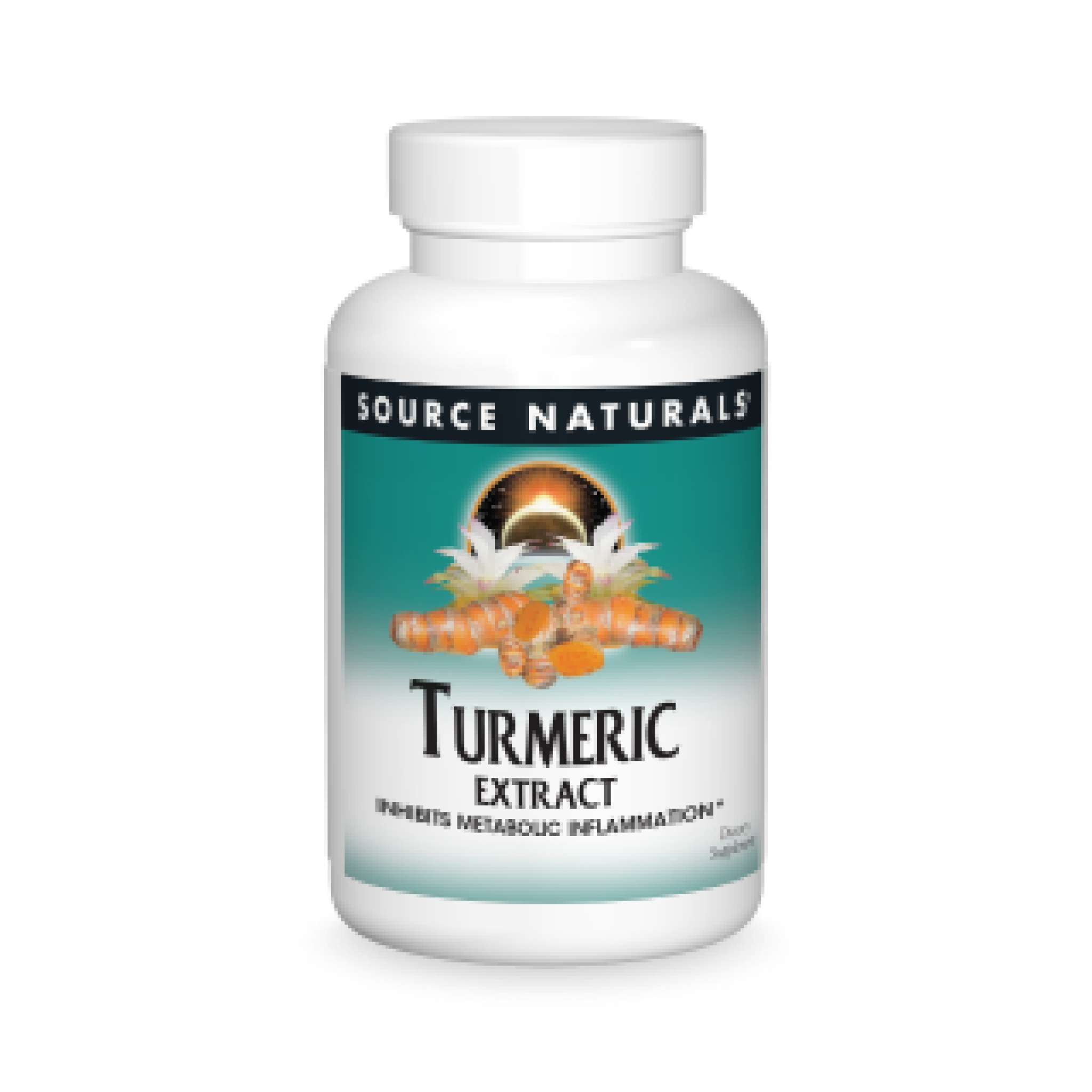 Source Naturals - Turmeric Extract