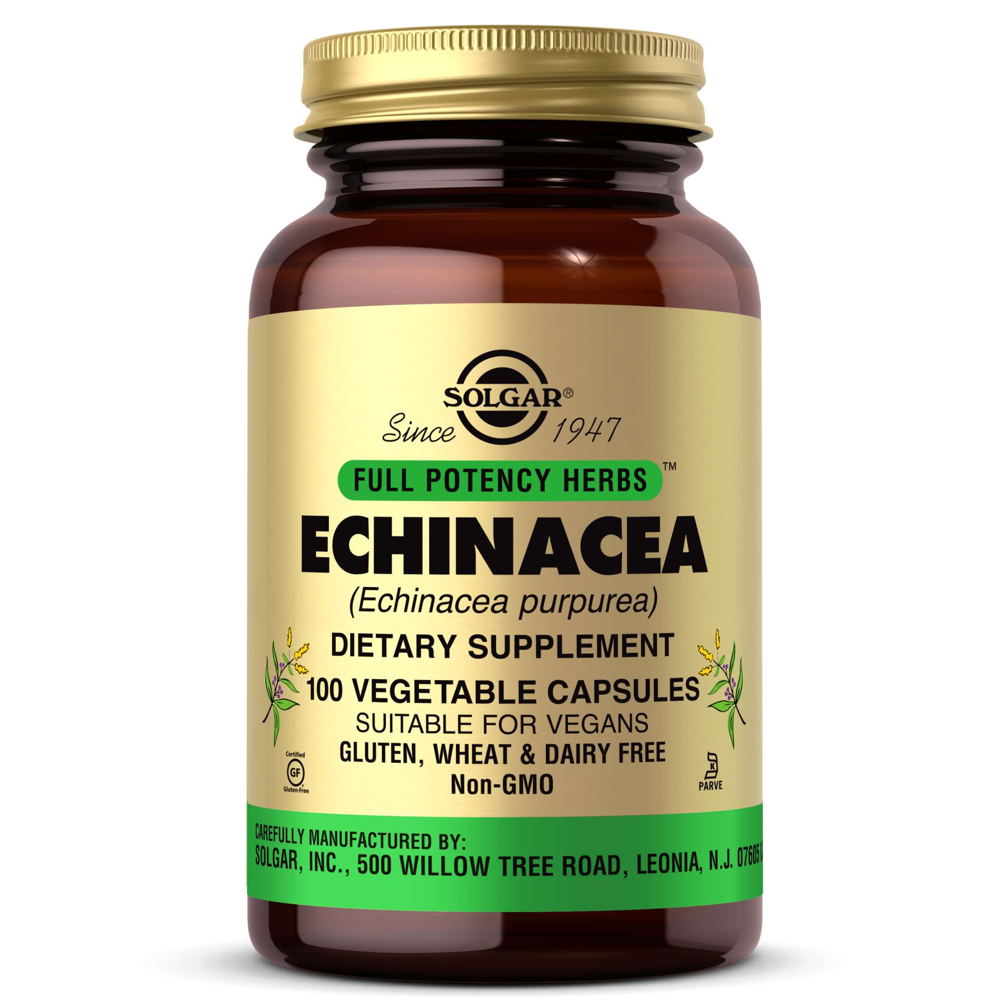 Solgar - Echinacea 520 vCap