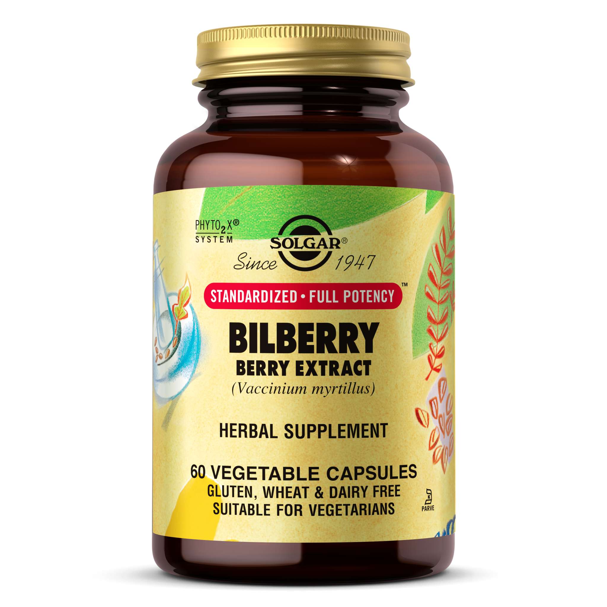 Solgar - Bilberry Extract 60 mg vCap