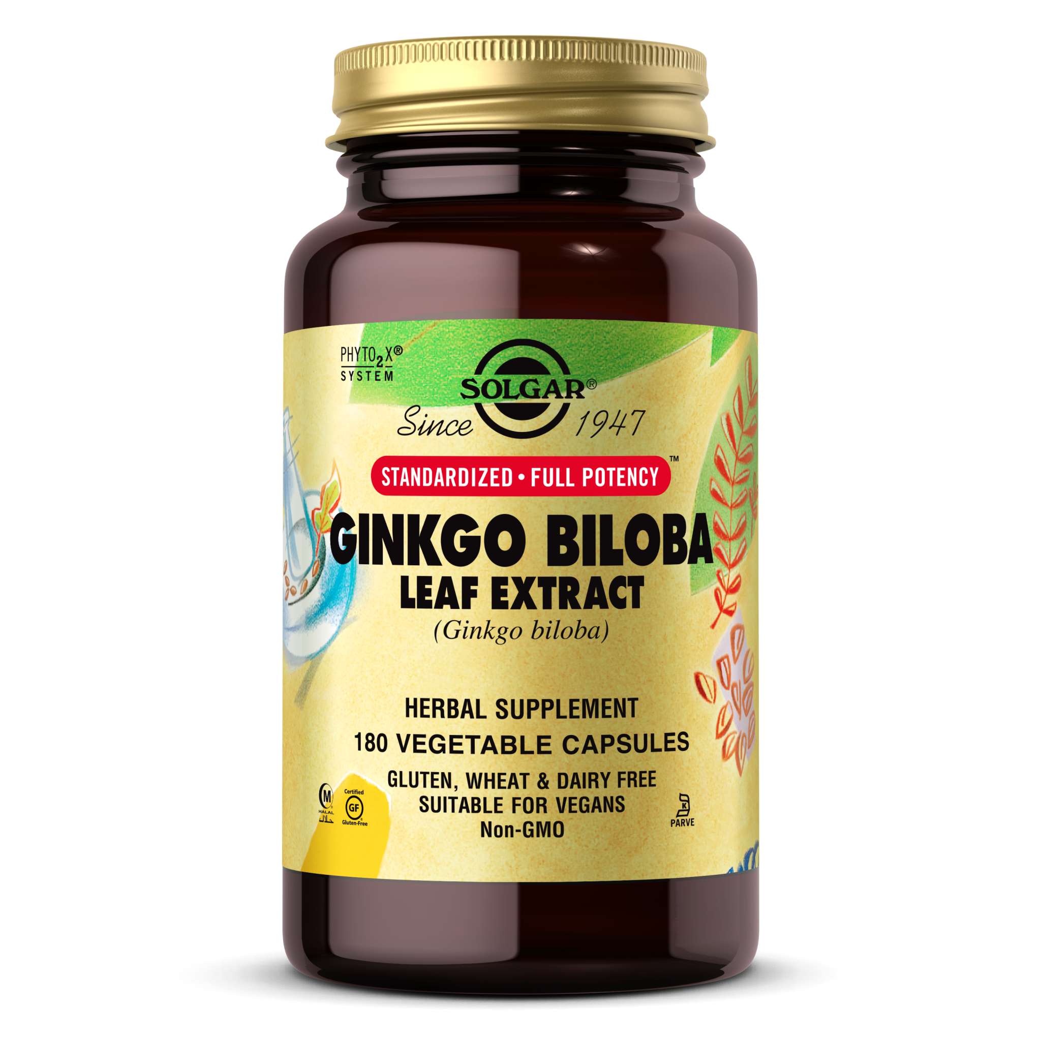 Solgar - Ginkgo Biloba Standzd