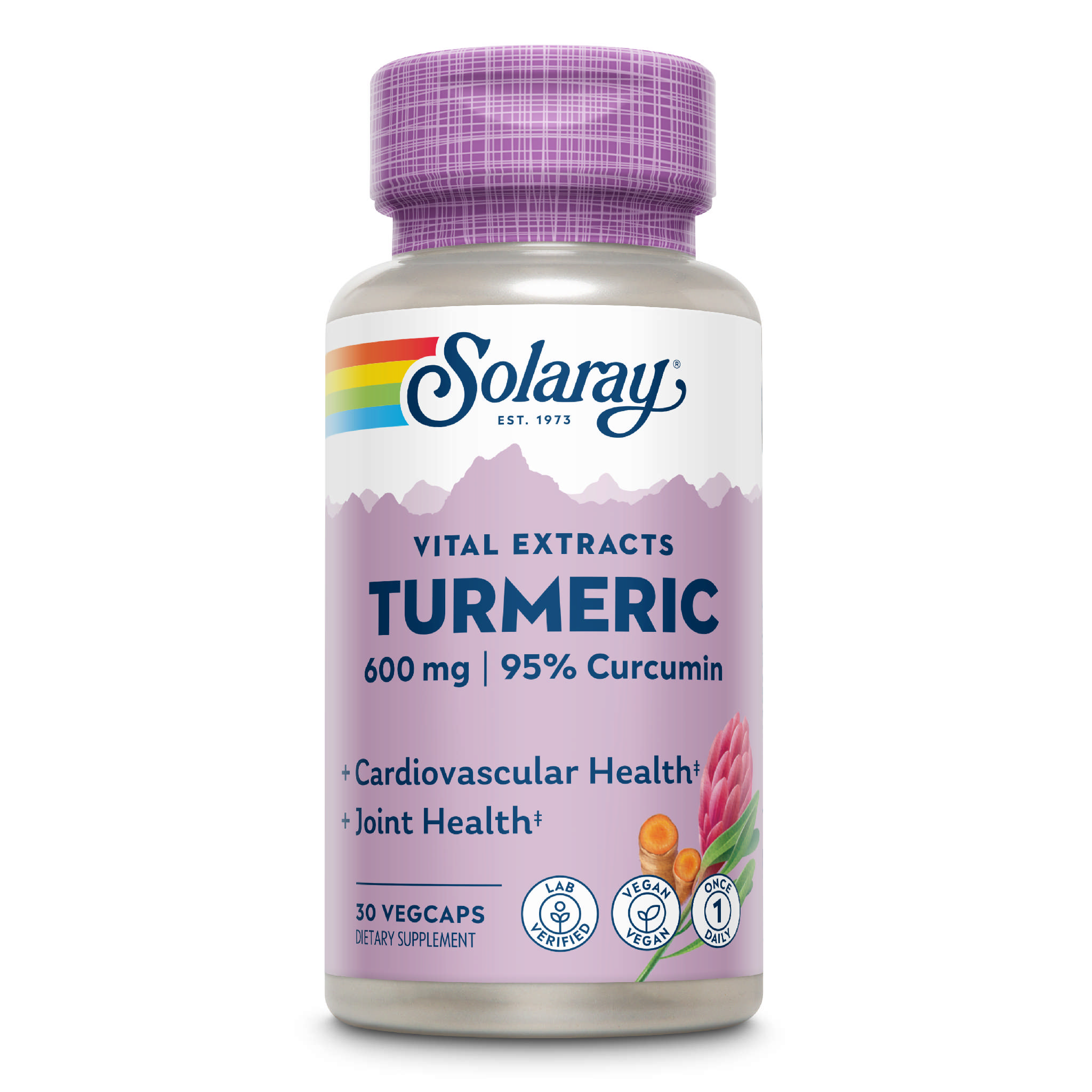 Solaray - Turmeric 1 Daily 600 mg